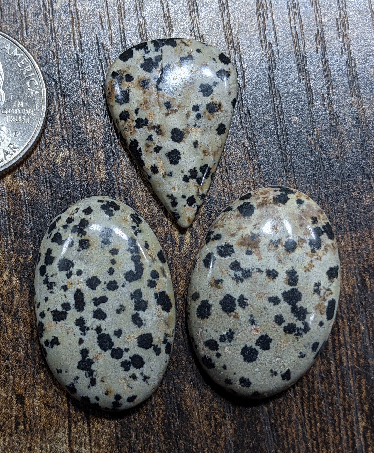 Jewelry-Grade-Dalmatian-Jasper-Cabochon-3
