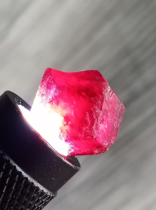 Raw South American Garnets