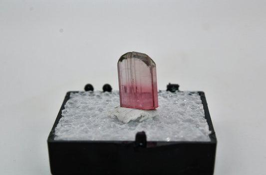 Nigerian Bi-Color Tourmaline Crystal Large
