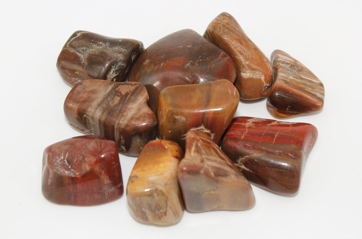 Petrified Wood Tumbled Stone